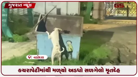 VIDEO: કચરાપેટીમાંથી મળ્યો અડધો સળગેલો મૃતદેહ!