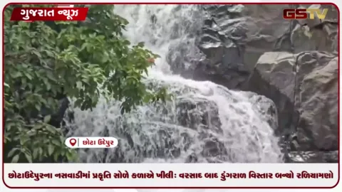 VIDEO: છોટાઉદેપુરના નસવાડીમાં પ્રકૃતિ સોળે કળાએ ખીલી: વરસાદ બાદ ડુંગરાળ વિસ્તાર બન્યો રળિયામણો!