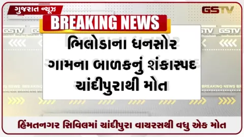 VIDEO: સાબરકાંઠામાં ચાંદીપુરાનો કહેર યથાવત, વધુ એક બાળકનું શંકાસ્પદ મોત