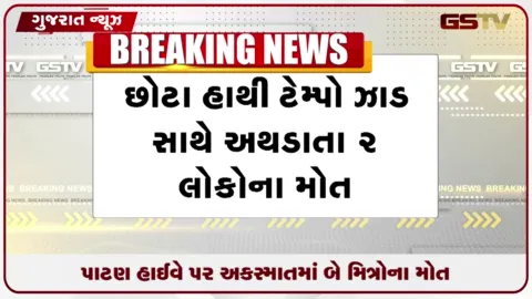 VIDEO: પાટણ હાઈવે પર અકસ્માતમાં બે મિત્રોના મોત