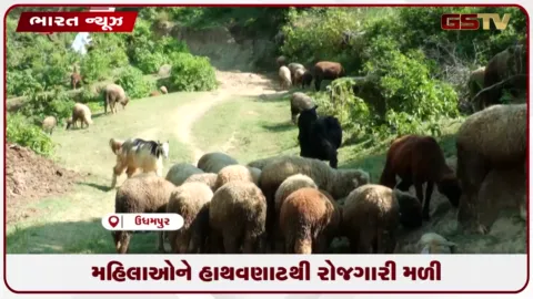 VIDEO: મહિલાઓને હાથવણાટથી રોજગારી મળી