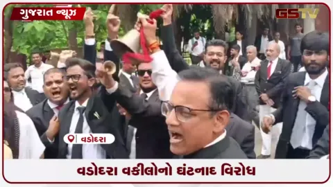 VIDEO: વડોદરા દિવાળીપુરા કોર્ટમાં વકીલોની હડતાલ ત્રીજા દિવસે યથાવત રહી