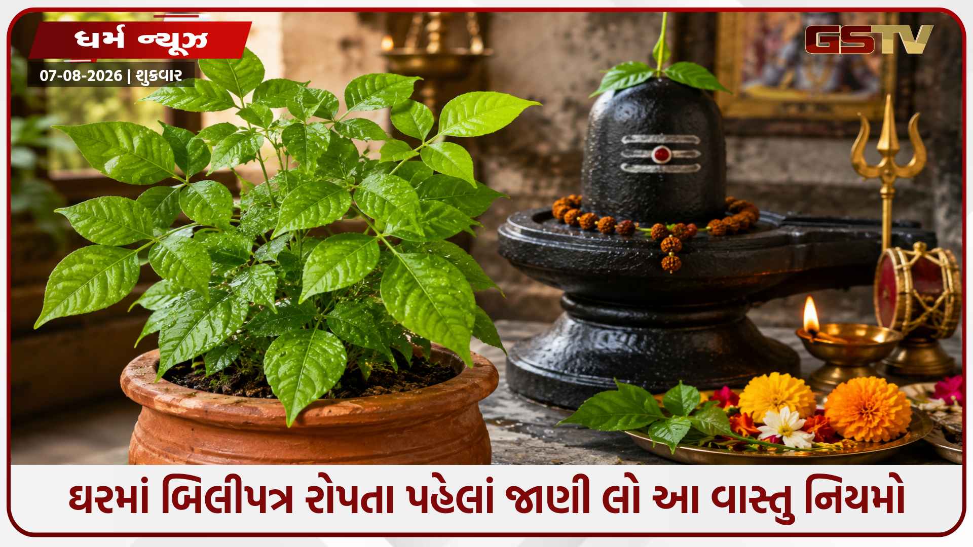 શિવજીનો પ્રિય બિલીપત્રનો છોડ ઘરમાં લાવશે સમૃદ્ધિ! જાણો તેને વાવવાની સાચી રીત