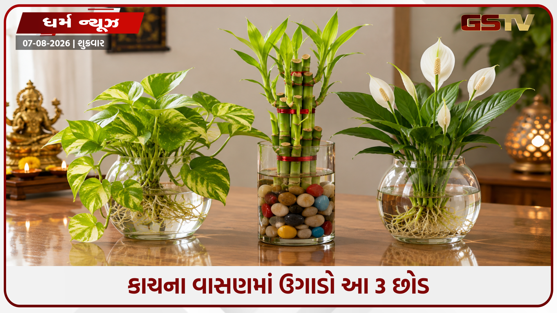 પાણીમાં ઉગતા આ 3 છોડ ઘરમાં લાવે છે સુખ, સમૃદ્ધિ અને માતા લક્ષ્મીની કૃપા