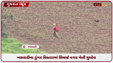 VIDEO: નસવાડીના ડુંગર વિસ્તારના 12 હજાર હેક્ટર ખેડૂતો આજે પણ સિંચાઈથી વંચિત