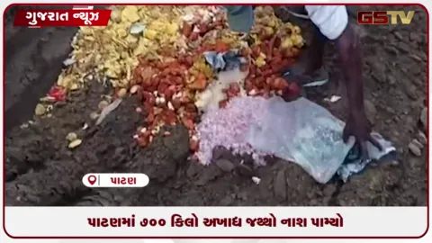 VIDEO: પાટણમાં 85 ખાણીપીણી સ્થળોએ ચેકિંગ, 700 કિલો અખાદ્ય જથ્થો નષ્ટ કરાયો