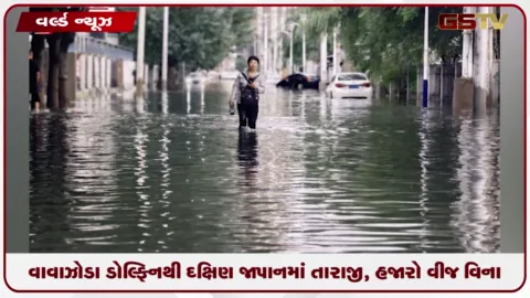 VIDEO: વાવાઝોડા ડોલ્ફિનએ દક્ષિણ જાપાનમાં તરાજી સર્જી, હજારો ઈમારતોમાં વીજ પુરવઠો ખોરવાયો