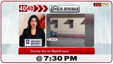 VIDEO: News 40-40/ગિરનાર રોડ પર સિંહોની લટાર