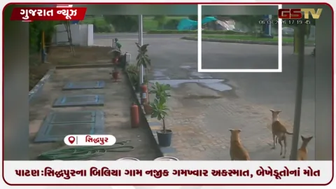 VIDEO: પાટણ: સિદ્ધપુરના બિલિયા ગામ નજીક ગમખ્વાર અકસ્માત, બે ખેડૂતોનાં મોત