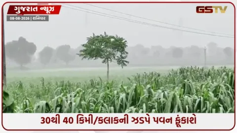 VIDEO: ગુજરાતમાં 10 ઓગસ્ટ સુધી કડાકા ભડાકા સાથે વરસાદ, 10 જિલ્લાઓમાં ભારે વરસાદની ચેતવણી
