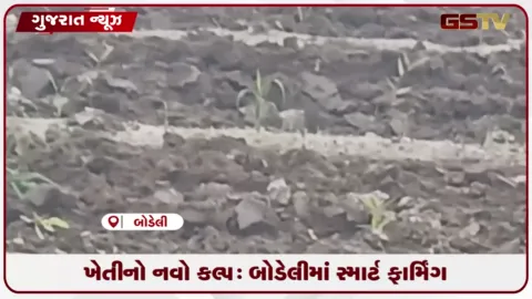 VIDEO: ખેતીનો નવો કલ્પ: બોડેલીમાં સ્માર્ટ ફાર્મિંગ