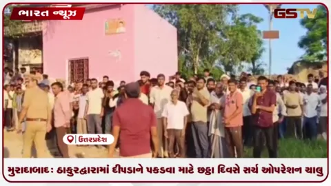 VIDEO: મુરાદાબાદ: ઠાકુરદ્વારામાં દીપડાને પકડવા માટે છઠ્ઠા દિવસે સર્ચ ઓપરેશન ચાલુ