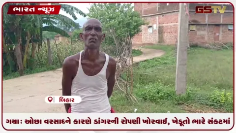 VIDEO: ગયા: ઓછા વરસાદને કારણે ડાંગરની રોપણી ખોરવાઈ, ખેડૂતો ભારે સંકટમાં