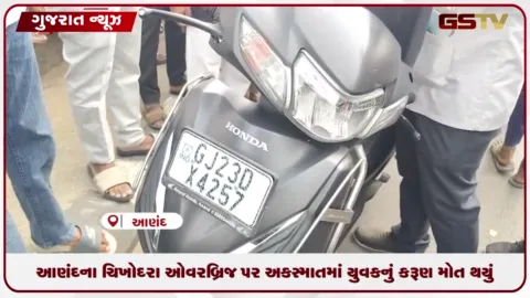 VIDEO: આણંદના ચિખોદરા ઓવરબ્રિજ પર અકસ્માતમાં યુવકનું કરૂણ મોત થયું