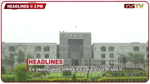 VIDEO: HEADLINE_2.00_PM / 14 અઠવાડિયાના ગર્ભને દૂર કરવા હાઈકોર્ટનો આદેશ, ફૂડ વિભાગની સઘન તપાસ