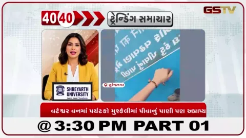 VIDEO: સુરેન્દ્રનગર: વટેશ્વર સાંસ્કૃતિક વનમાં પાણીની સુવિધાનો અભાવ, પર્યટકો પરેશાન