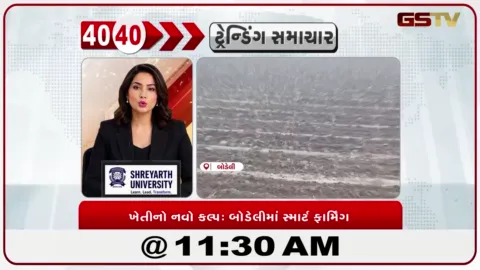 VIDEO: બોડેલીના ખેડૂતો નિલગીરી-સુબાવળની ખેતી તરફ વળ્યા