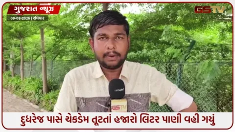 VIDEO: સુરેન્દ્રનગરના દુધરેજ પાસે ચેકડેમ તૂટ્યો; પાણી નદીમાં વહી ગયું, સંસ્કૃતિ વનનો ભાગ પણ ધોવાયો