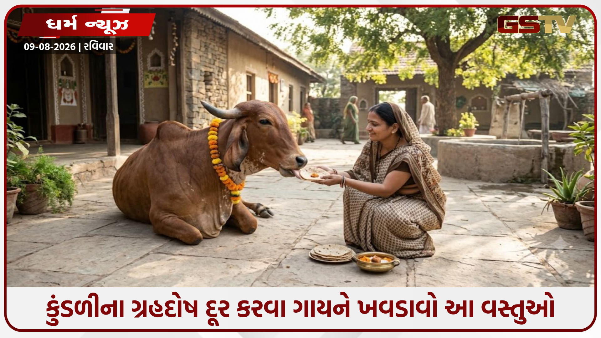 Religion: કુંડળીના ગ્રહદોષ દૂર કરવા ગાયને ખવડાવો આ વસ્તુઓ, દૂર થશે તમામ મુશ્કેલીઓ