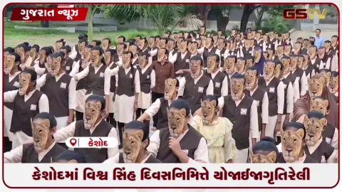 VIDEO: કેશોદમાં વિશ્વ સિંહ દિવસ નિમિત્તે યોજાઈ જાગૃતિ રેલી