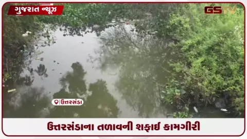 VIDEO: નડિયાદના ઉત્તરસંડા તળાવ માટેની સફાઈ ઝુંબેશ રંગ લાવી..તંત્રની ઉડી ઉંઘ..શરૂ થઈ સફાઈ!