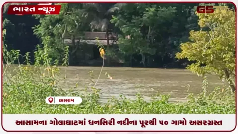 VIDEO: આસામના ગોલાઘાટમાં ધનસિરી નદીના પૂરથી 50 ગામો અસરગ્રસ્ત
