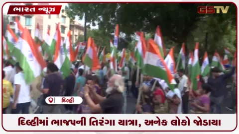 VIDEO: દિલ્હીમાં ભાજપની તિરંગા યાત્રા, અનેક લોકો જોડાયા