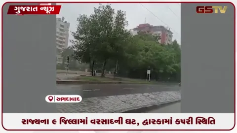 VIDEO: રાજ્યમાં 9 જિલ્લામાં વરસાદની ઘટ, દેવભૂમિ દ્વારકામાં કપરી સ્થિતિ