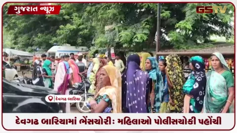 VIDEO: દેવગઢ બારિયામાં ભેંસ ચોરી: મહિલાઓ પોલીસ ચોકી પહોંચી