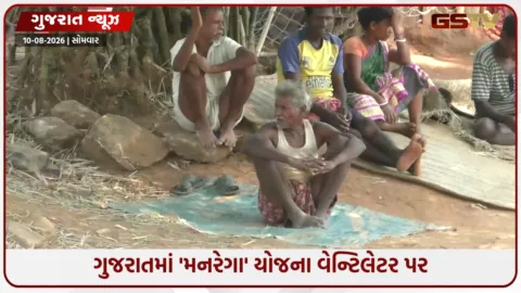VIDEO: Gujaratમાં 'મનરેગા' યોજના વેન્ટિલેટર પર, શ્રમિકોની સંખ્યા 18.43 લાખથી ઘટીને માત્ર 10.29 લાખ થઈ