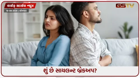 VIDEO: સંઘર્ષ વિના તૂટી રહ્યા છે સંબંધો, યુવાનો પર ખરાબ અસર કરી રહ્યો છે સાયલન્ટ બ્રેકઅપનો ટ્રેન્ડ