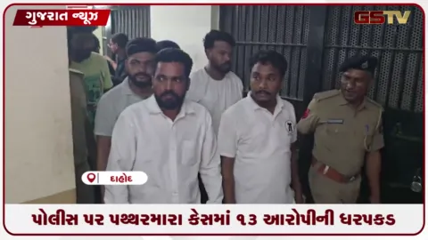 VIDEO: દાહોદમાં વિશ્વ આદિવાસી દિવસની ઉજવણીમાં પોલીસ પર પથ્થરમારો, 13 આરોપીની ધરપકડ