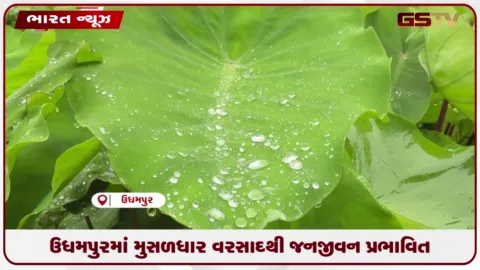 VIDEO: ઉધમપુરમાં મુસળધાર વરસાદથી જનજીવન પ્રભાવિત