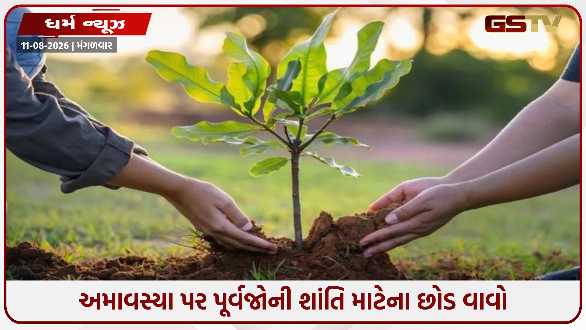 હરિયાળી અમાવસ્યા પર આ વૃક્ષો વાવો જેથી તમારા પૂર્વજોને ખુશ કરી શકાય, જીવનના તમામ અવરોધો દૂર થશે
