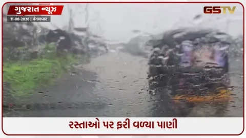 VIDEO: ઉમરગામ પંથકમાં વહેલી સવારથી વરસાદી હેલી, દોઢ ઈંચથી વધુ વરસાદથી નદી-નાળા છલકાયા