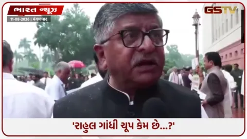 VIDEO: 