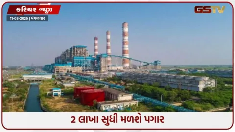 VIDEO: Career / NTPCમાં ડેપ્યુટી મેનેજર પદ માટે નીકળી ભરતી, આ ઉમેદવારો પાસે નોકરી મેળવવાની સુવર્ણ તક