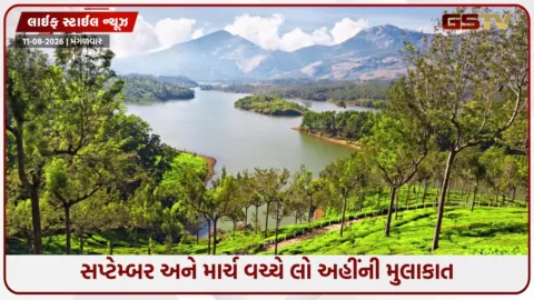 VIDEO: એડવેન્ચર અને શાંતિનું પરફેક્ટ કોમ્બિનેશન છે કેરળનું આ હિલ સ્ટેશન, અહીં થયેલું છે ફિલ્મોનું શુટિંગ