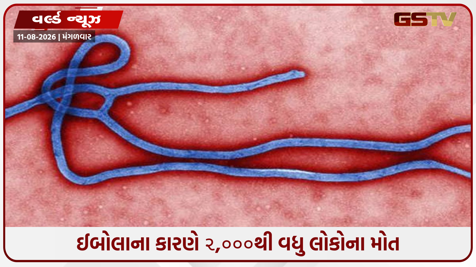 કોંગોમાં ઈબોલાનો કહોર: મૃત્યુઆંક ૨,૦૦૦ને પાર, અત્યાર સુધીનો સૌથી ઝડપથી ફેલાતો રોગચાળો જાહેર