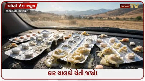 VIDEO: કારમાં આ વસ્તુઓ અંદર છોડી તો હોસ્પિટલ જવાનો આવશે વારો 