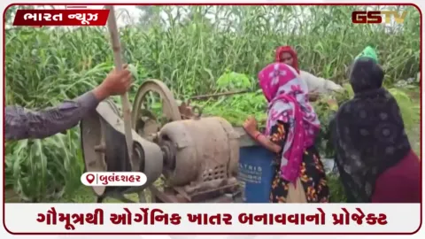 VIDEO: ગૌમૂત્રથી ઓર્ગેનિક ખાતર બનાવવાનો પ્રોજેક્ટ