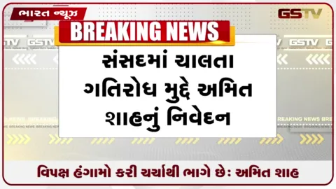 VIDEO: ગૃહમંત્રી અમિત શાહની સંસદમાં ચર્ચા માટે ખુલ્લી ચેલેન્જ...કહ્યું, સરકાર દરેક વિષય પર વિગતવાર ચર્ચા કરવા તૈયાર