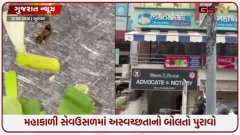VIDEO: વડોદરાની મહાકાળી સેવઉસળની લીલી ડુંગળીમાંથી નીકળ્યો વંદો, વીડિયો વાયરલ થતાં ખળભળાટ