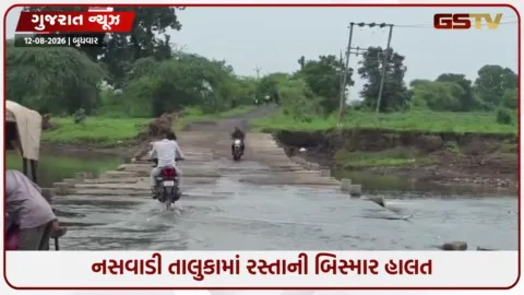 VIDEO: નસવાડીનો ખરેડા-દમોલી રોડ બન્યો જોખમી, અકસ્માતના ભય વચ્ચે કોઝ-વે પાર કરતાં વાહનચાલકો