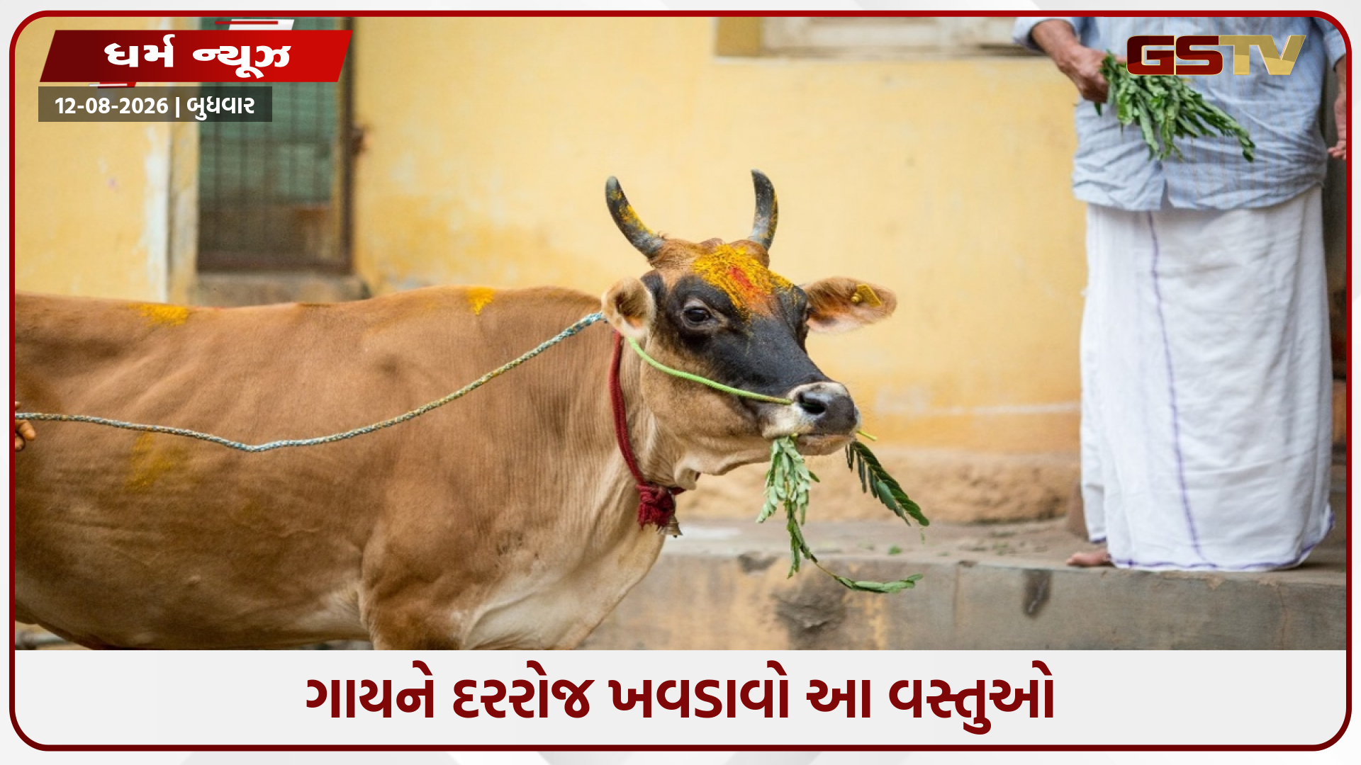 ગાયને દરરોજ ખવડાવો આ વસ્તુઓ, સૂર્ય દેવના આશીર્વાદથી મળશે સફળતા