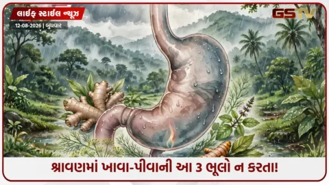 VIDEO: શ્રાવણ આવતાં જ કેમ બદલાઈ જાય છે ખાવા-પીવાનું? ચોમાસામાં દહીં, રીંગણ અને ભાજી ખાવાથી કેમ બચવું જોઈએ?