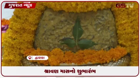 VIDEO: આજથી પવિત્ર શ્રાવણ માસનો પ્રારંભ, દ્વારકાના નાગેશ્વર જ્યોતિર્લિંગ સહિત શિવાલયોમાં શિવભક્તોનું ઘોડાપૂર