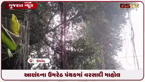 VIDEO: આણંદના ઉમરેઠ પંથકમાં અચાનક વાતાવરણ પલટાતા ધોધમાર વરસાદ વરસ્યો, ગરમીથી ત્રસ્ત લોકોને મળી રાહત