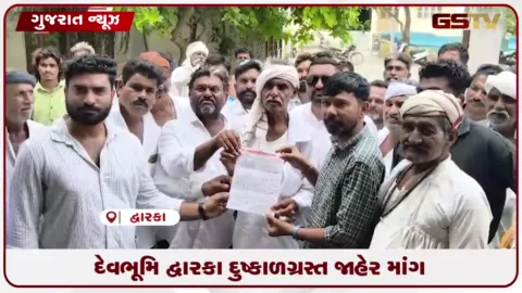 VIDEO: દેવભૂમિ દ્વારકા જિલ્લામાં વરસાદની અછતને પગલે દુષ્કાળગ્રસ્ત જાહેર કરવાની માંગ, ખેડૂતો અને પશુપાલકો માટે સહાયની ઉગ્ર રજૂઆત
