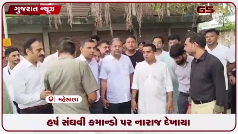 VIDEO: વડનગરમાં રિક્ષા મુસાફરી બાદ હર્ષ સંઘવી કમાન્ડો પર ભડક્યા